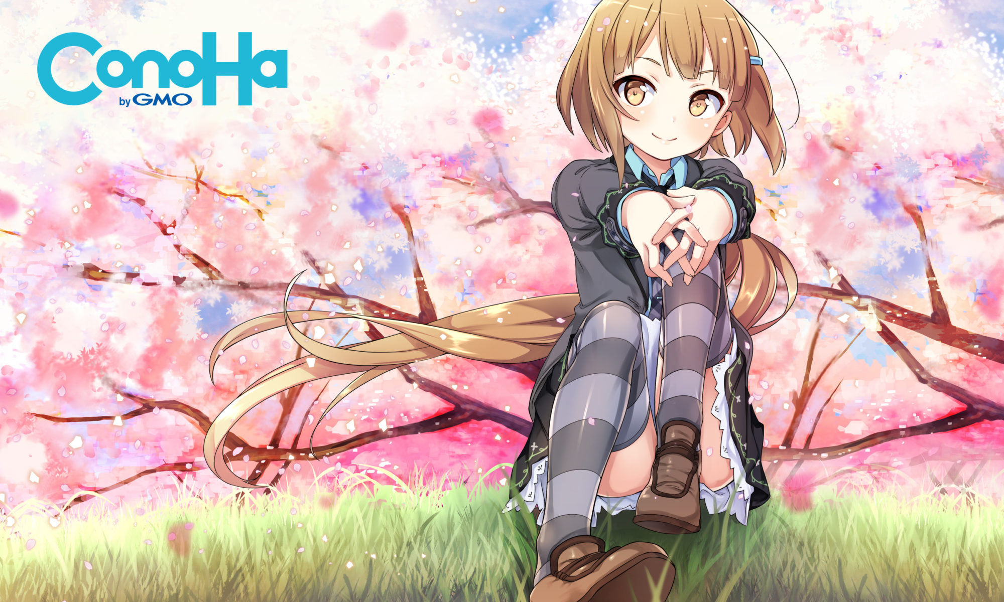 旧！ConoHa Wing！猫丸君