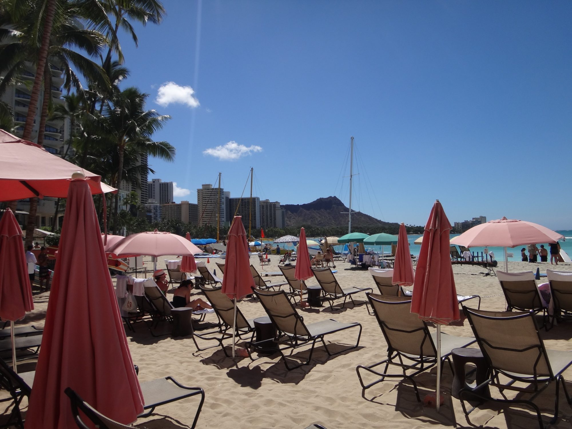 旧！ConoHa Wing！猫丸君