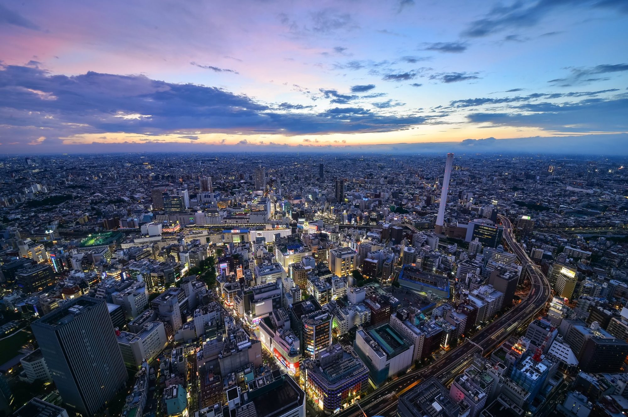 旧！ConoHa Wing！猫丸君