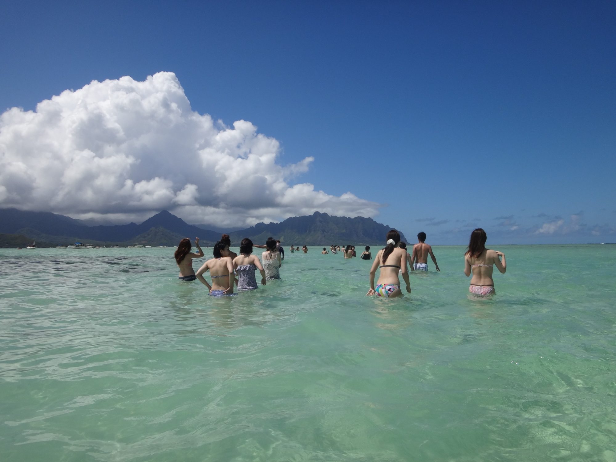 旧！ConoHa Wing！猫丸君