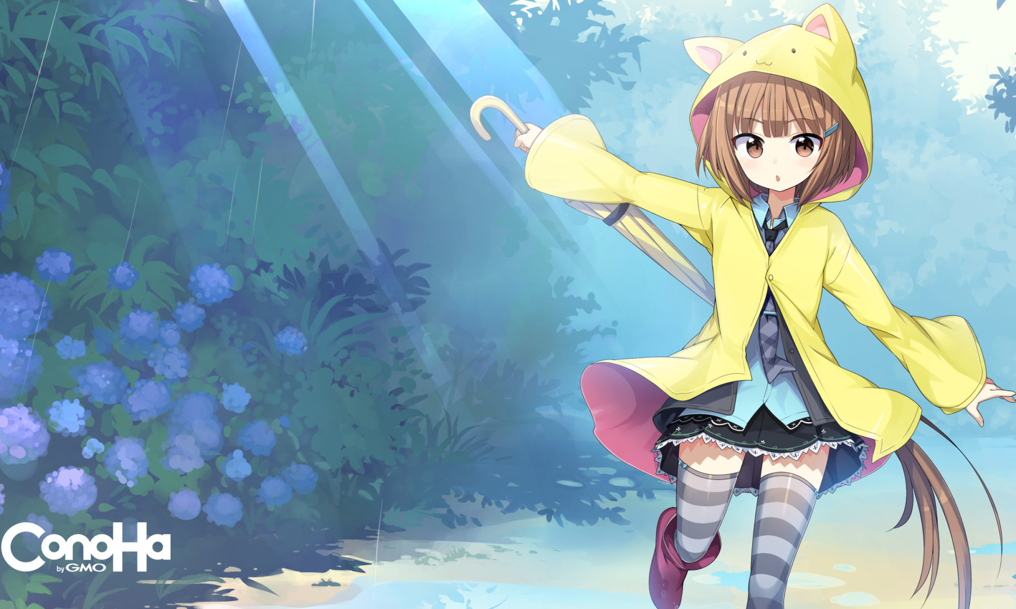 旧！ConoHa Wing！猫丸君