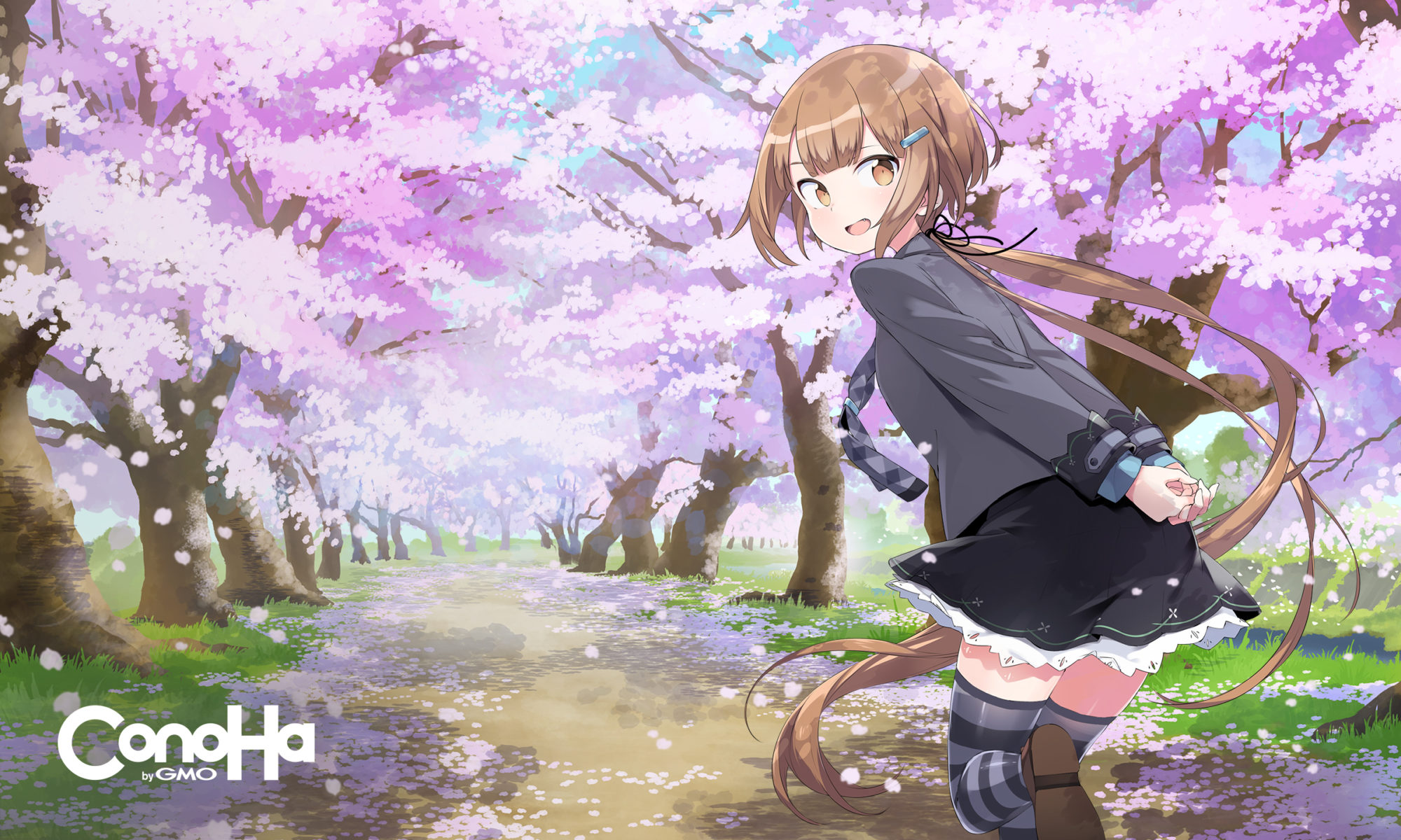 旧！ConoHa Wing！猫丸君